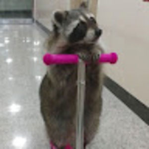 Meet your Posher, Tobias